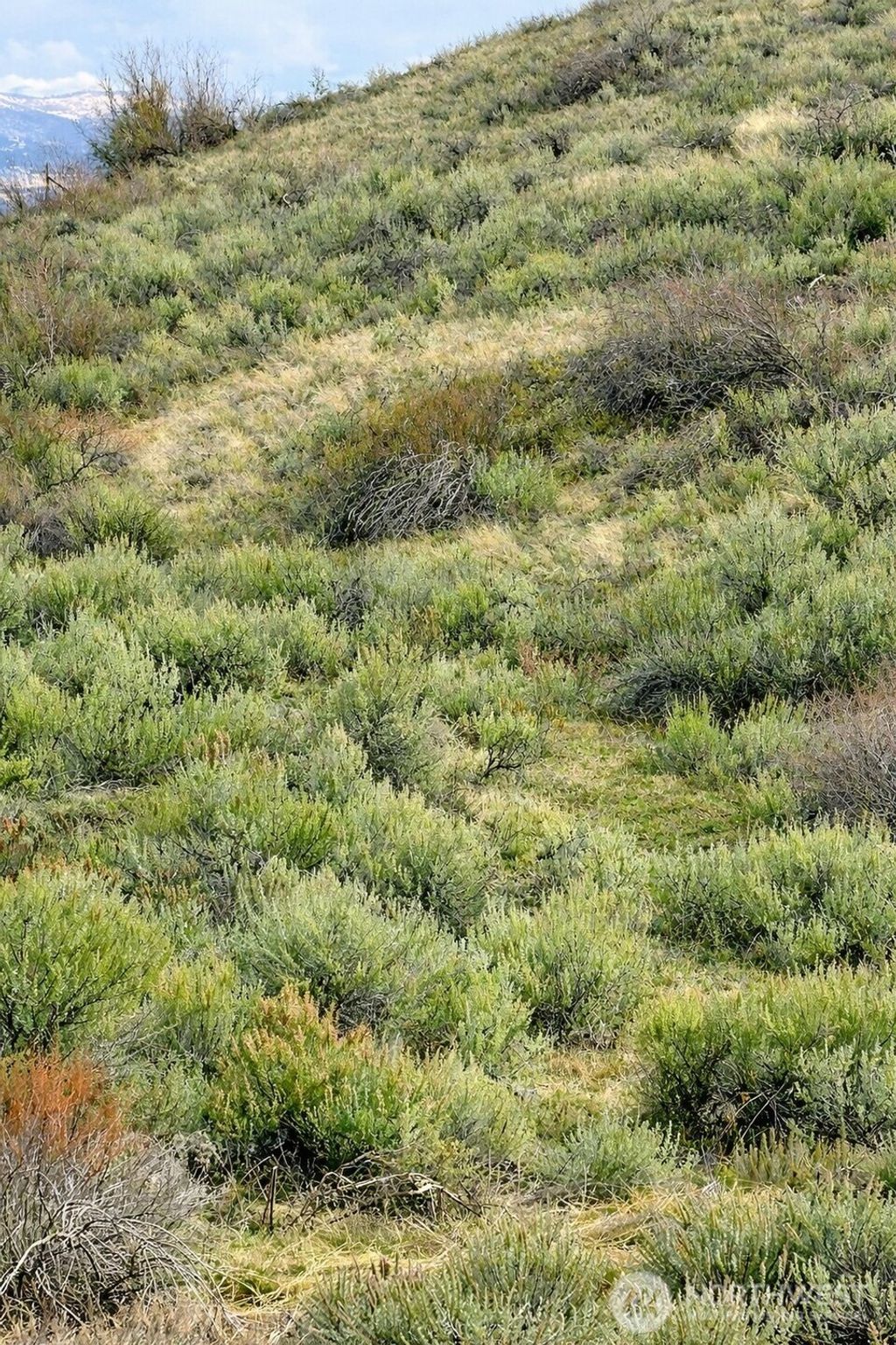 Photo of 42 Beeman Road, Tonasket, WA 98855 (MLS # 2486556)