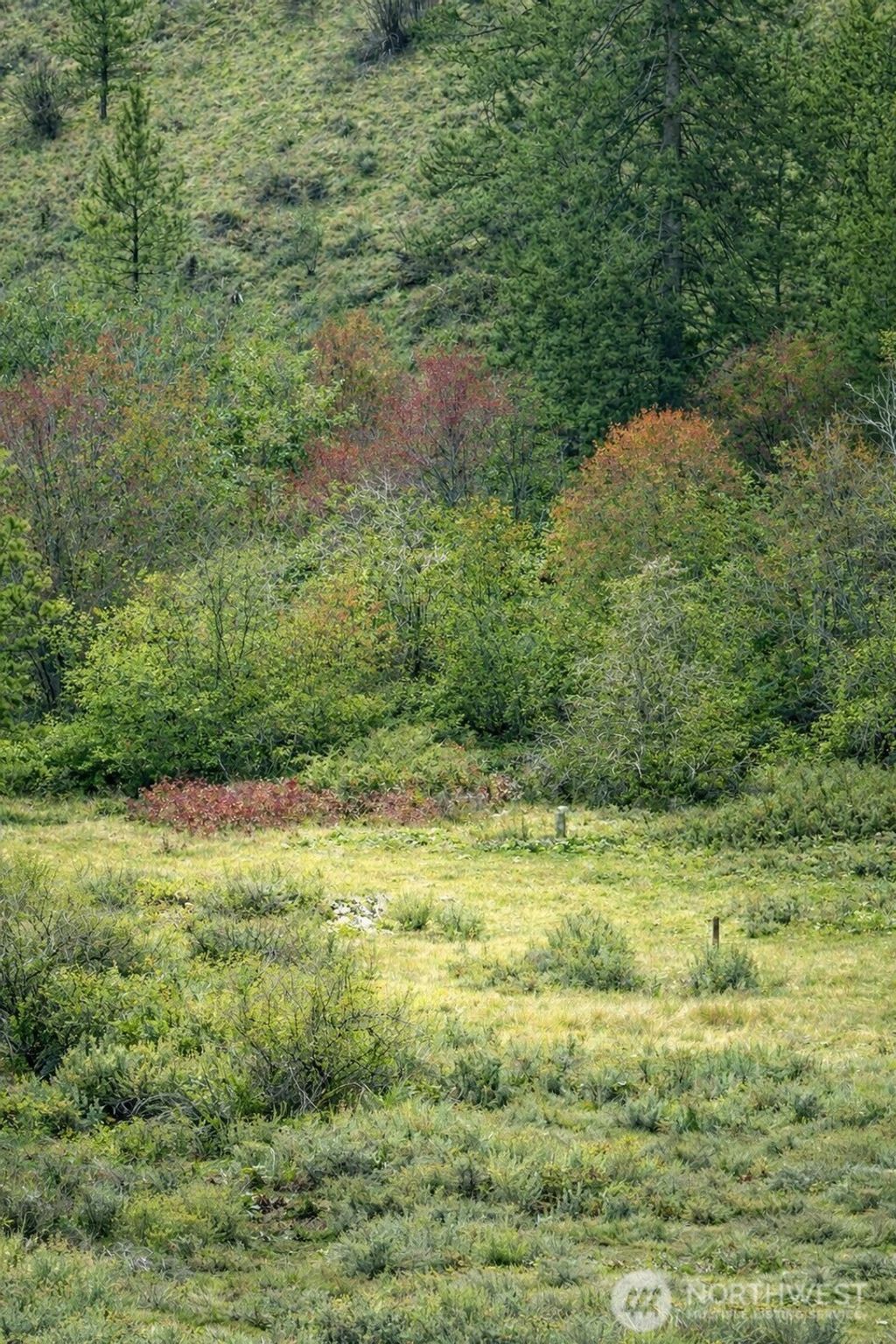 Photo of 42 Beeman Road, Tonasket, WA 98855 (MLS # 2486556)