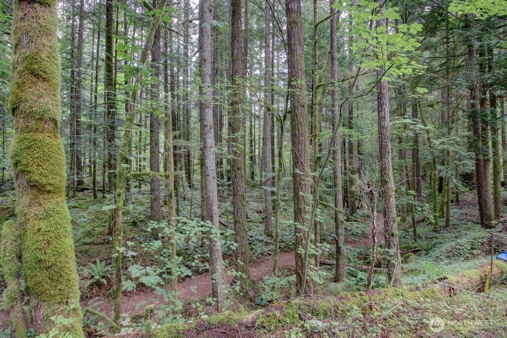 Photo of 18 Wilderness Way, Deming, WA 98244 (MLS # 2566665)