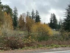 Photo of 8909 Key Peninsula Highway HWY NW, Lakebay, WA 98349 (MLS # 2562623)