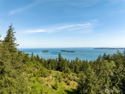 SUNRISE BLUFF LN, OLGA, WA 98279 - Image 86fe031acfbaba48df84dad6a5ba95d1/1275164934