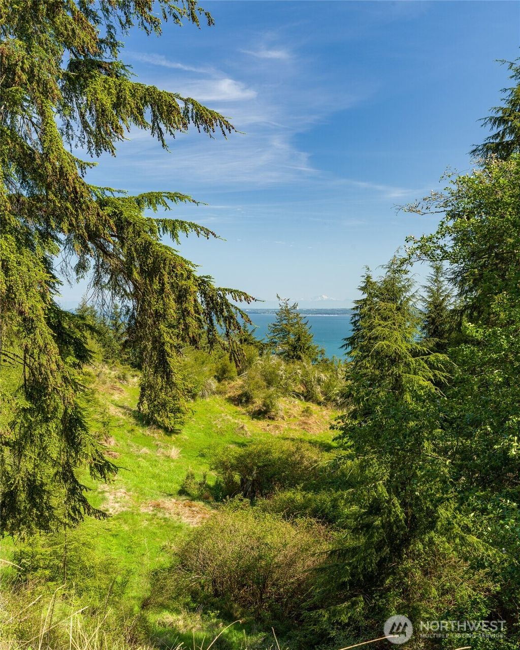 Photo of 0 Sunrise Bluff Lane, Orcas Island, WA 98279 (MLS # 2476921)