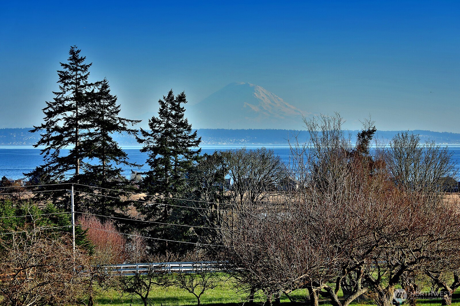 1975 Hillvista Place