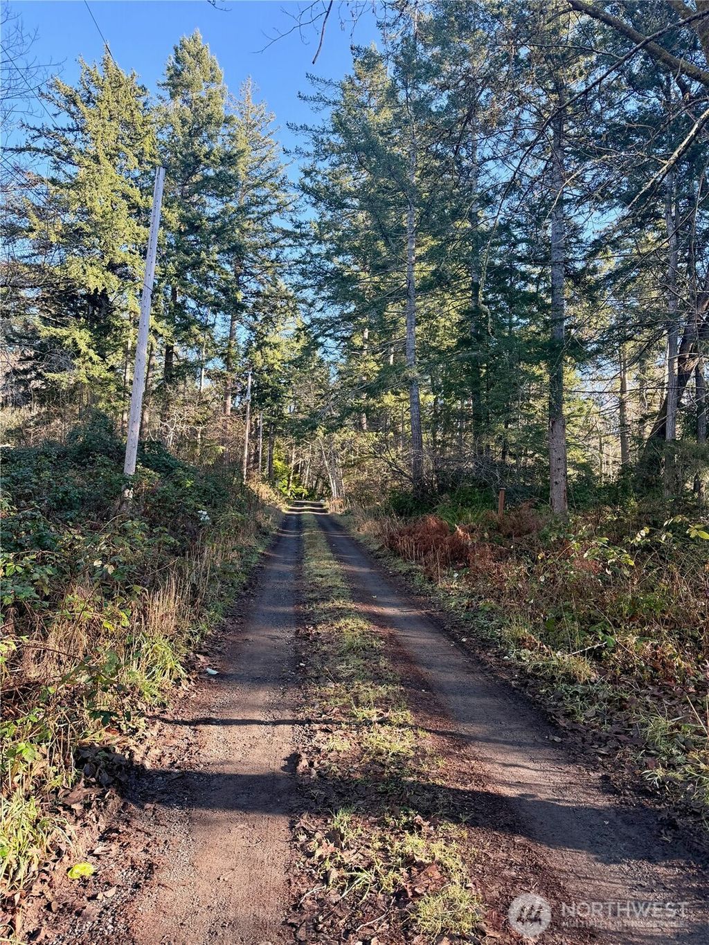 Photo of 51 Fox Road, Quilcene, WA 98376 (MLS # 2469856)