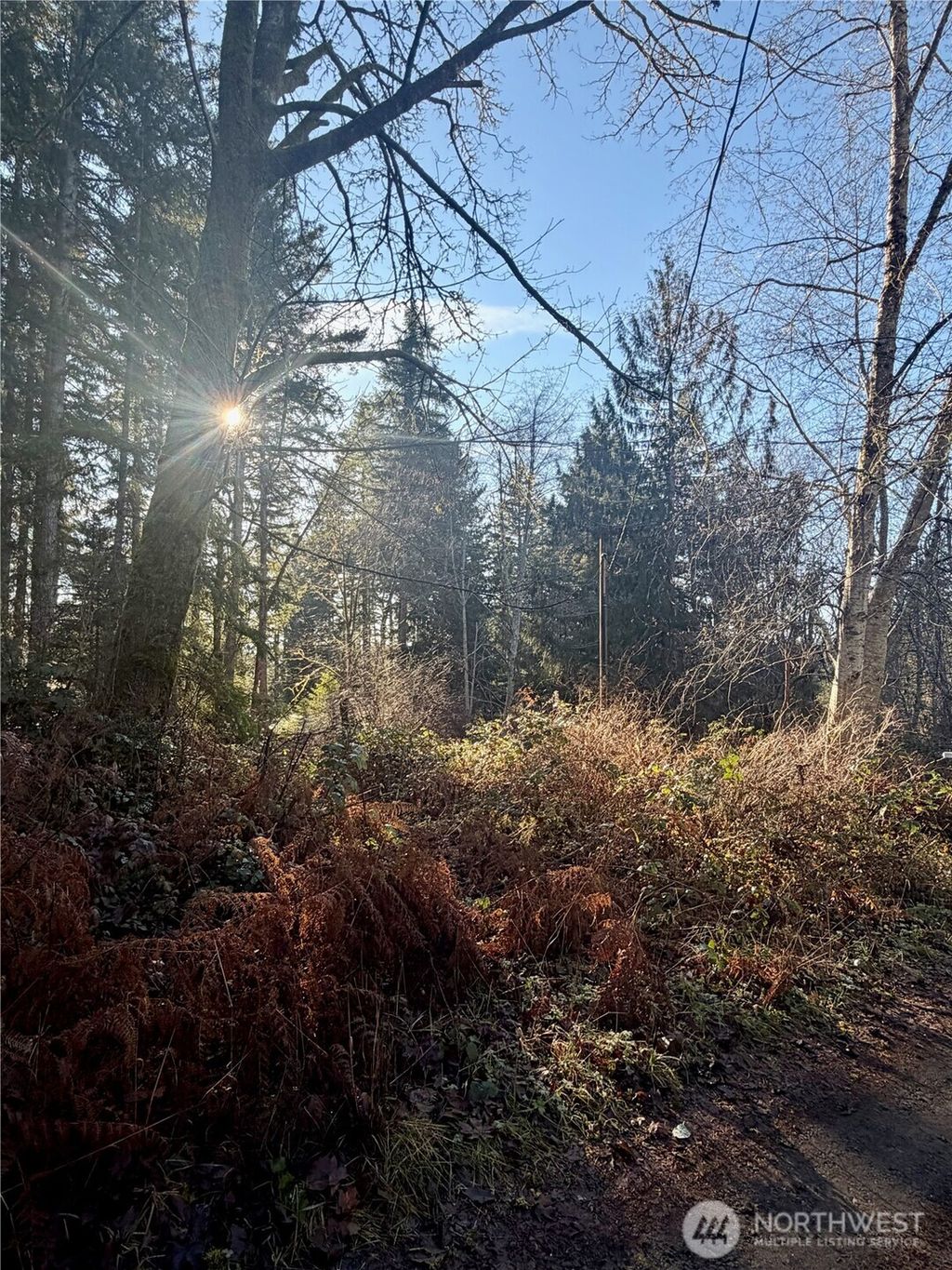 Photo of 51 Fox Road, Quilcene, WA 98376 (MLS # 2469856)