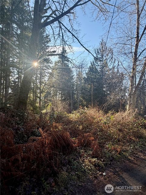 Photo of 51 Fox Road, Quilcene, WA 98376 (MLS # 2469856)