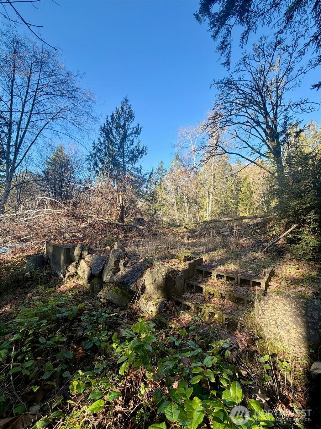 Photo of 51 Fox Road, Quilcene, WA 98376 (MLS # 2469856)