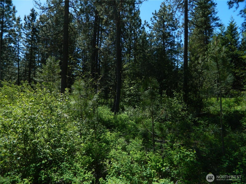 111 TBD Murphy Ranch Road