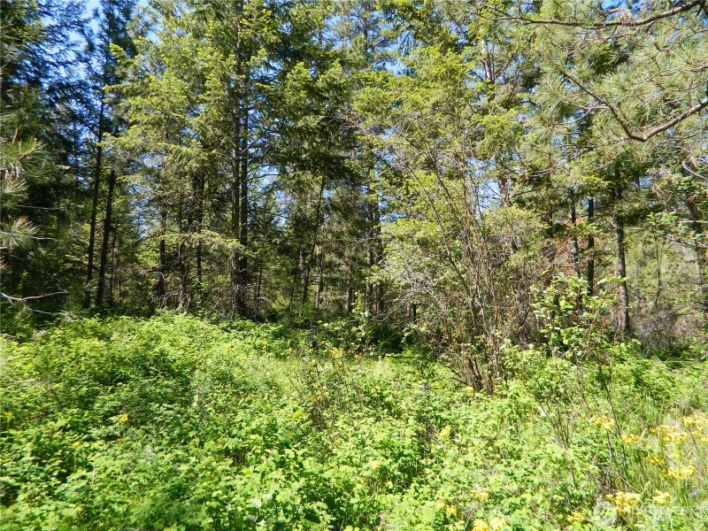 111 TBD Murphy Ranch Road