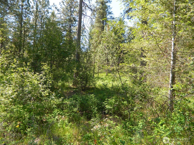 111 TBD Murphy Ranch Road