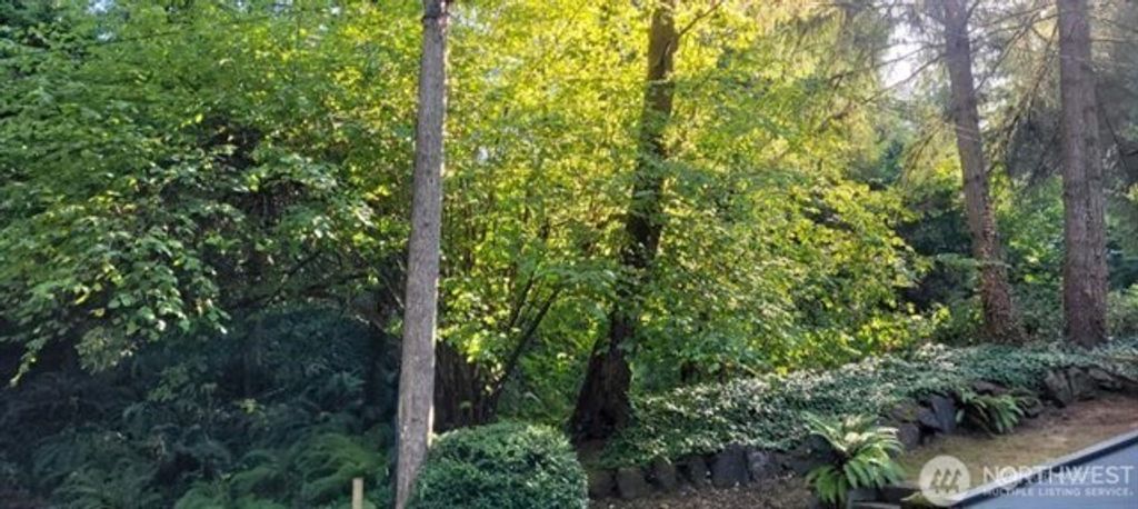 Photo of 185 xx 24th Place NE, Lake Forest Park, WA 98155 (MLS # 2447121)