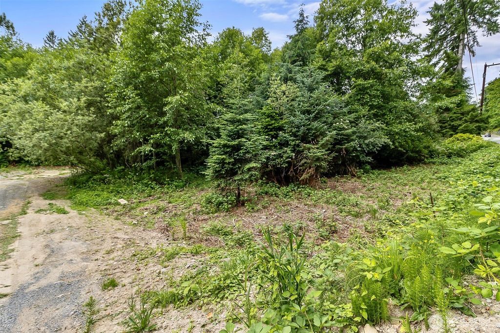 Photo of 2818 Callow Road, Lake Stevens, WA 98258 (MLS # 2419989)