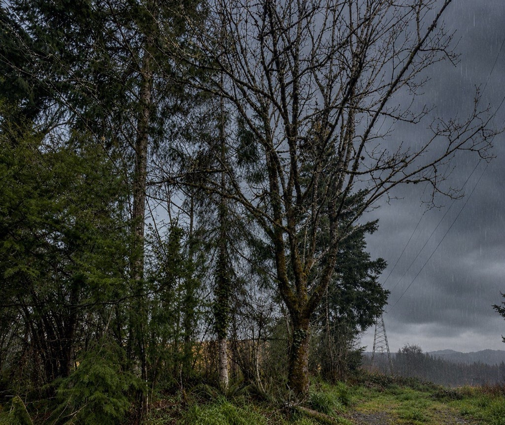 Photo of 50 Monohon Landing Road, Raymond, WA 98577 (MLS # 2598174)