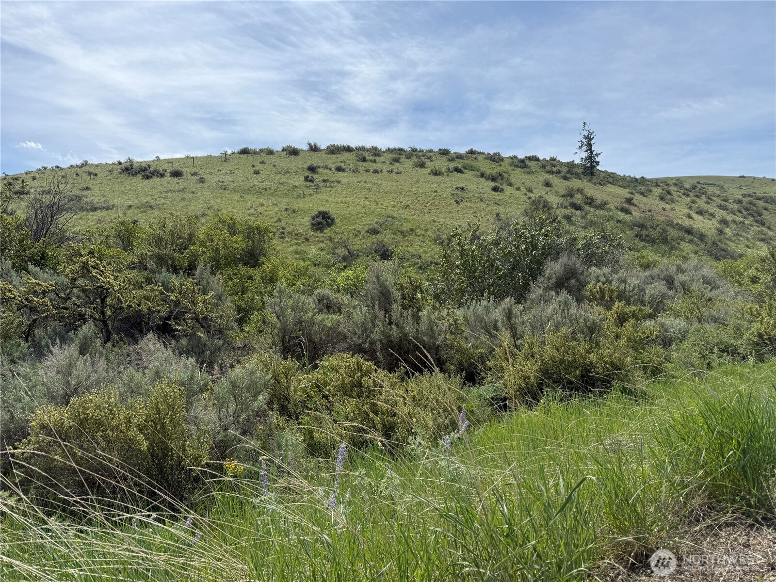 0 Titchenal Canyon Road SW