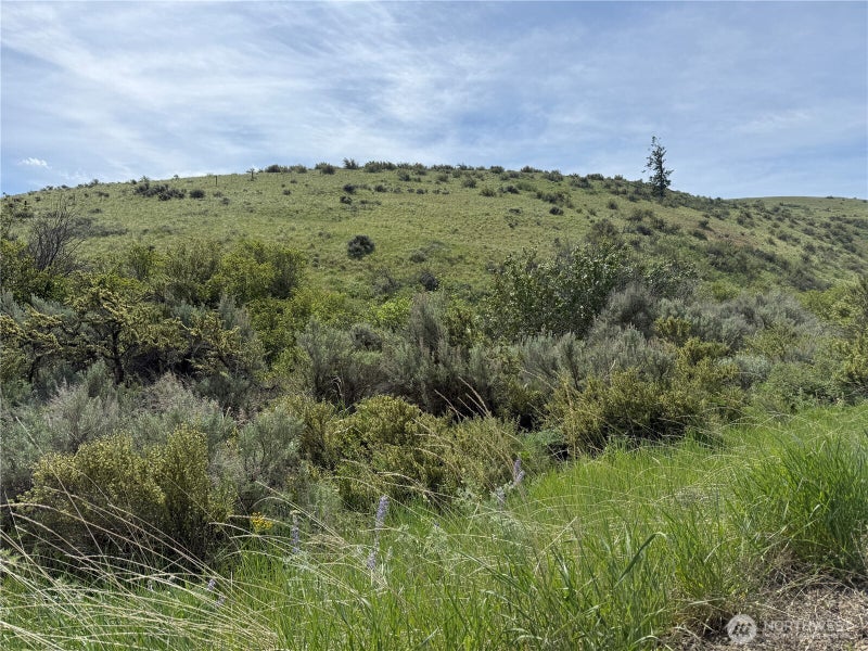 0 Titchenal Canyon Road SW