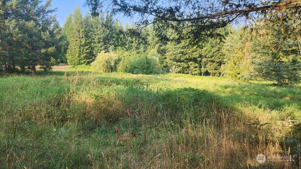 Photo of 30500 XX 290th Avenue SE, Black Diamond, WA 98010 (MLS # 2155702)