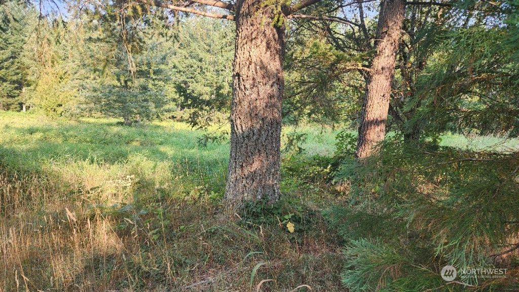 Photo of 30500 XX 290th Avenue SE, Black Diamond, WA 98010 (MLS # 2155702)