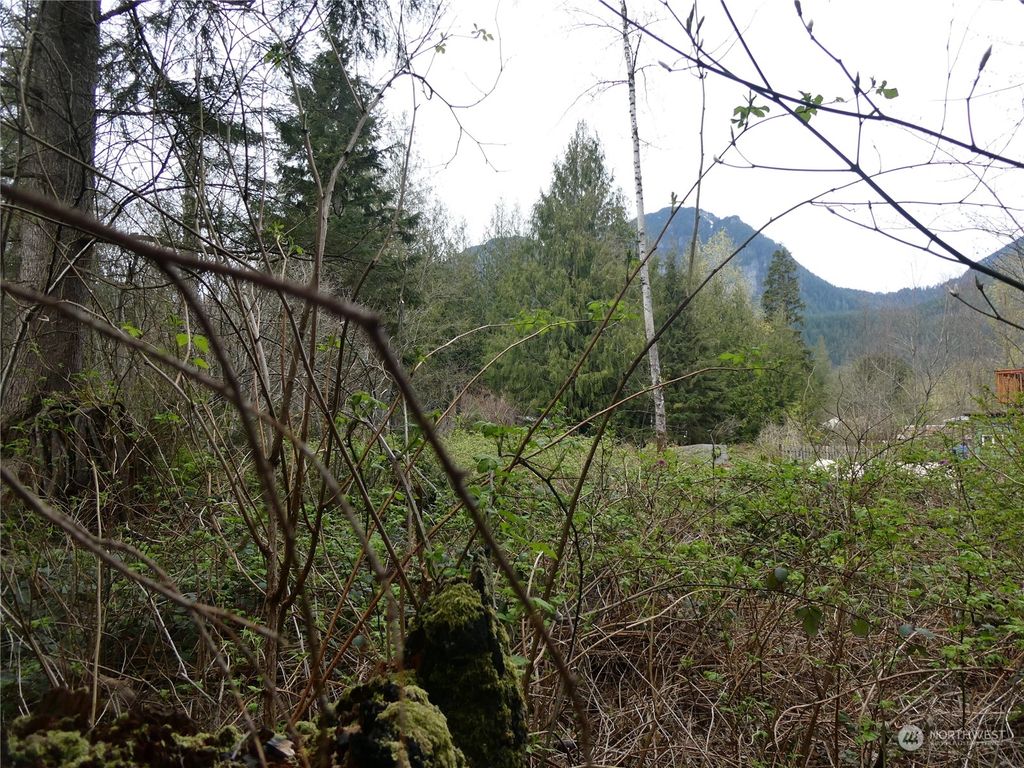Photo of 44331 Pine Road, Gold Bar, WA 98251 (MLS # 2217426)