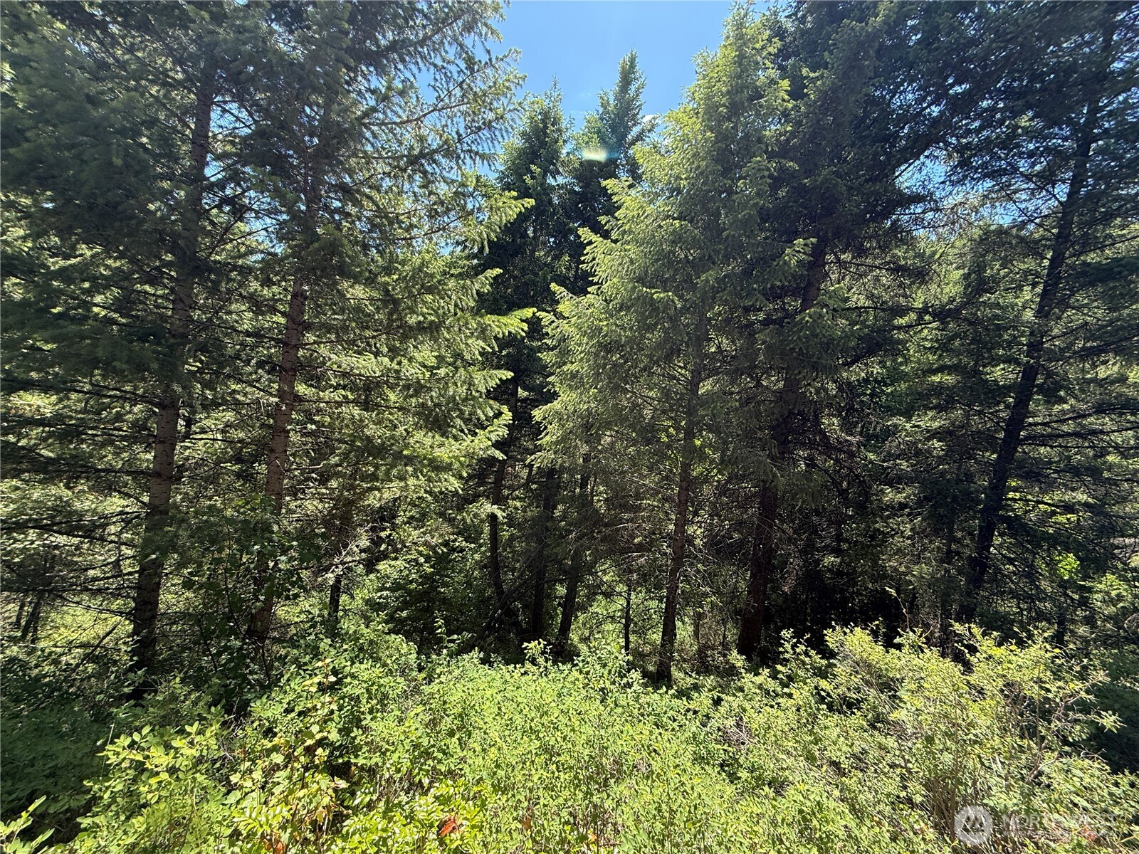 0 Toroda Creek Road