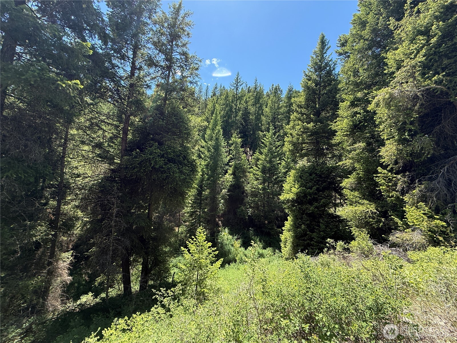 0 Toroda Creek Road