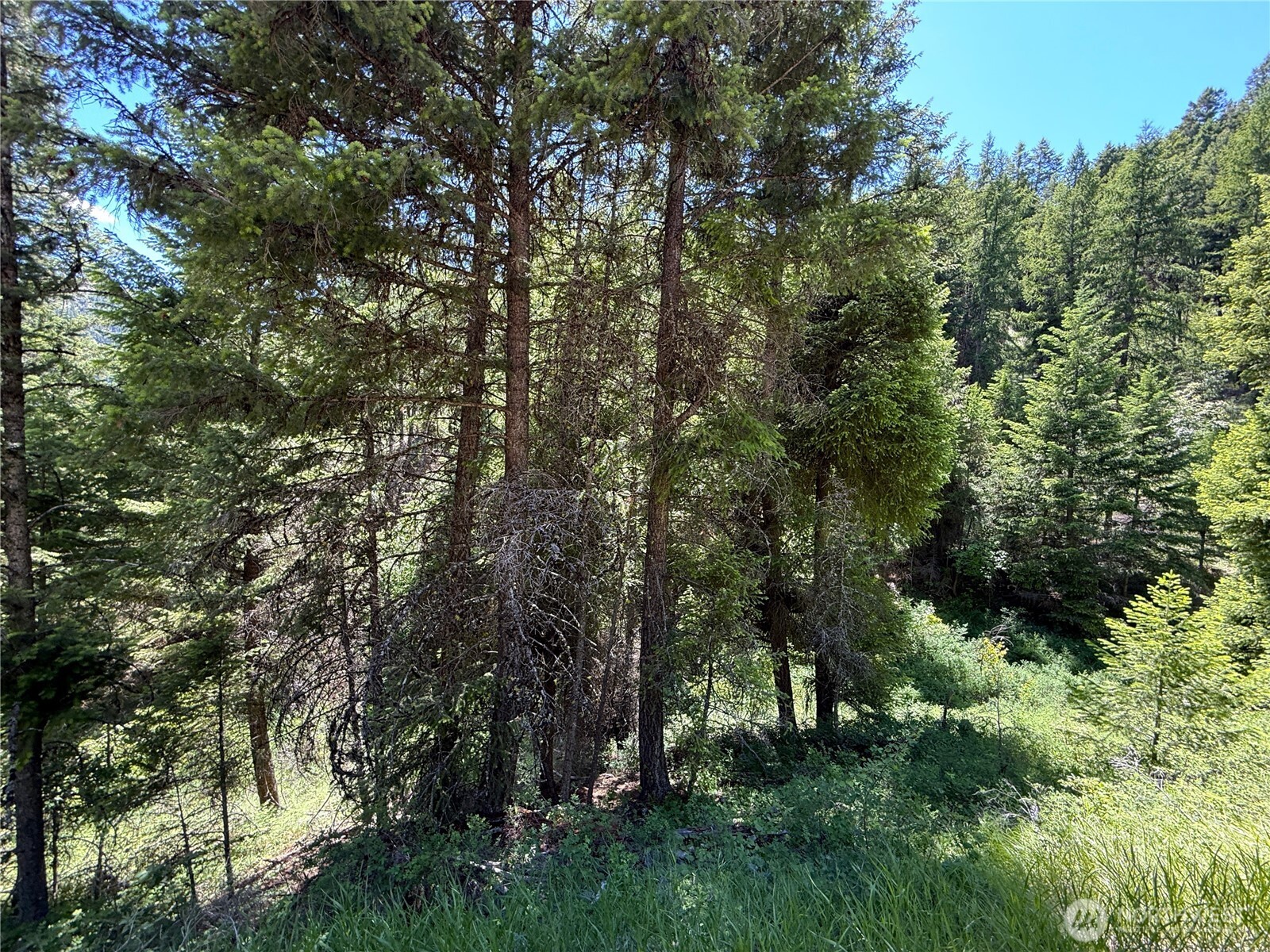0 Toroda Creek Road