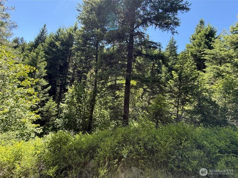 Photo of 0 TBD Toroda Creek Road, Wauconda, WA 98859 (MLS # 2544420)