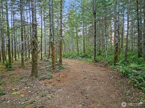 Photo of 131 E Webb Hill Road, Union, WA 98592 (MLS # 2575672)