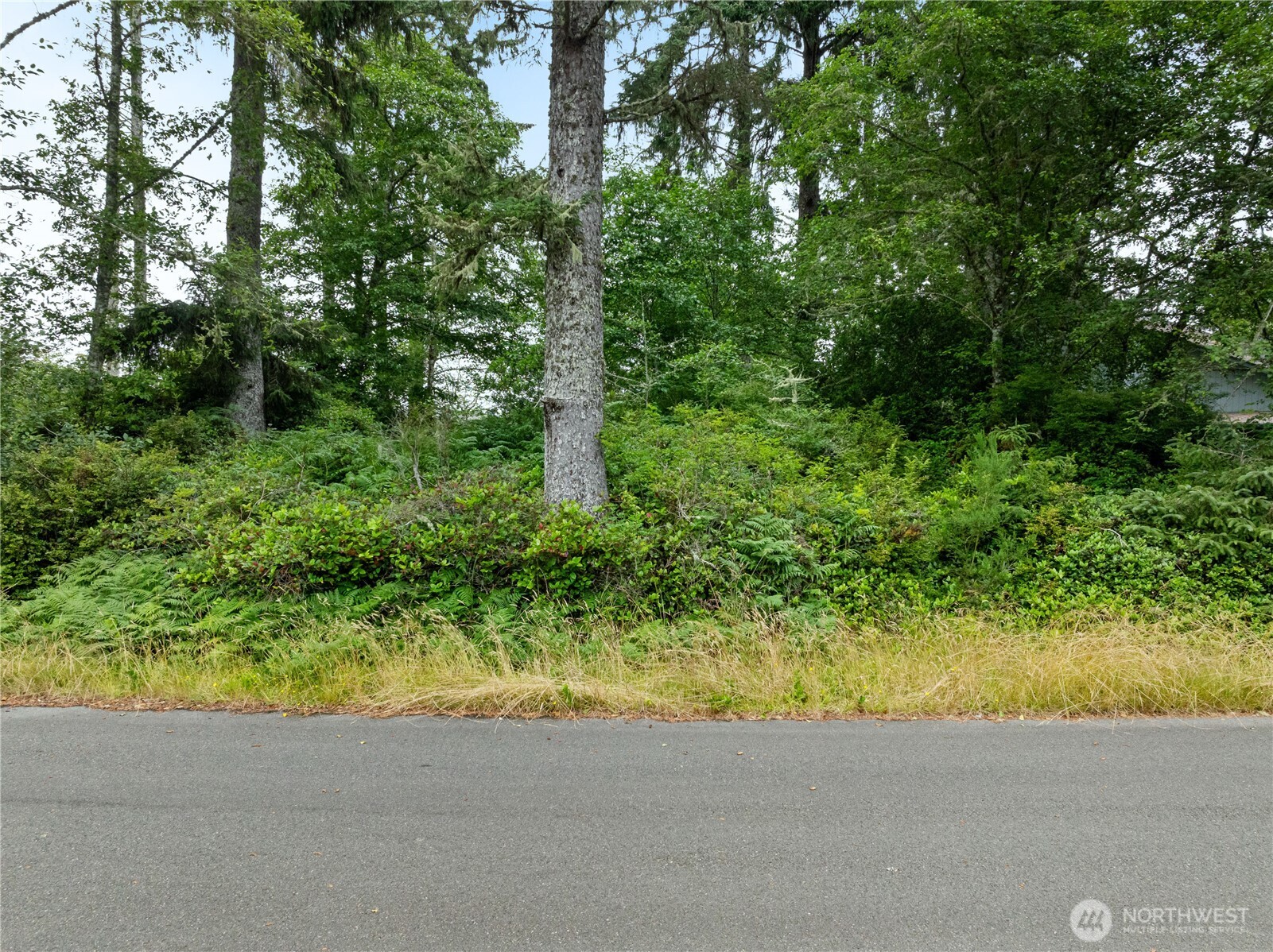 784 Evergreen Avenue SE