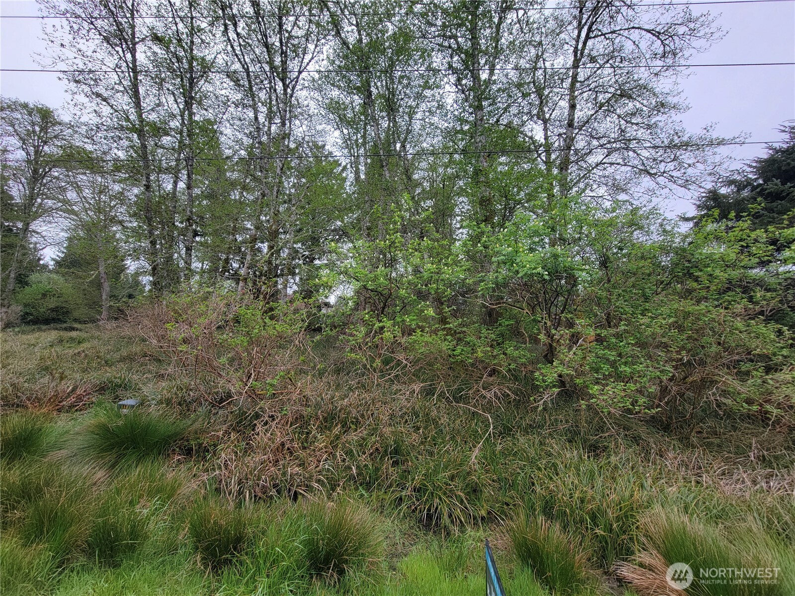 789 Mount Olympus Avenue SE