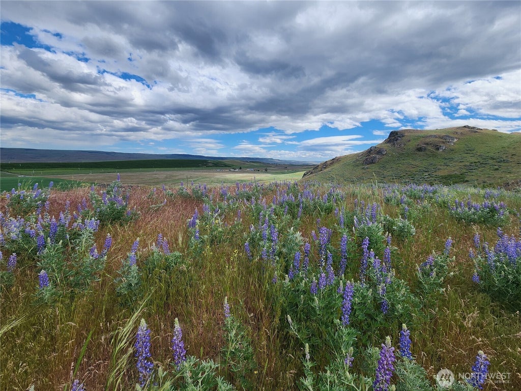 Photo of 0 xx Old Highway 97, Brewster, WA 98812 (MLS # 2535217)