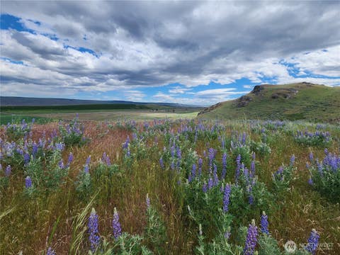 Photo of 0 xx Old Highway 97, Brewster, WA 98812 (MLS # 2535217)