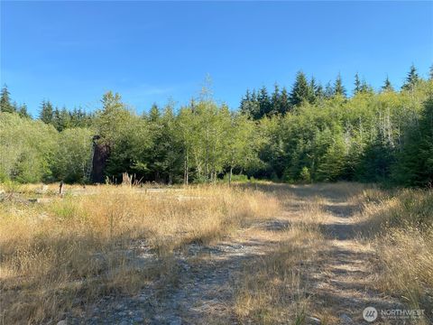 Photo of 565 Kallman Road Rd, Forks, WA 98331 (MLS # 2419666) Photo of 565 Kallman Road Rd, Forks, WA 98331 (MLS # 2419666)