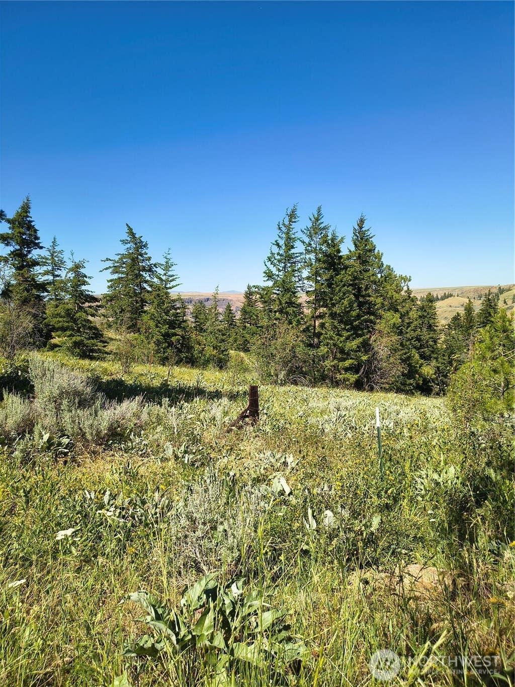 Photo of 0 Unassigned, East Wenatchee, WA 98802 (MLS # 2569744)