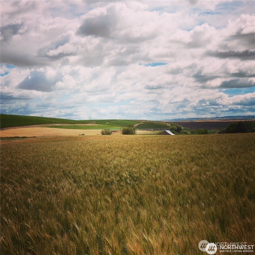 16 Bergevin Springs Place