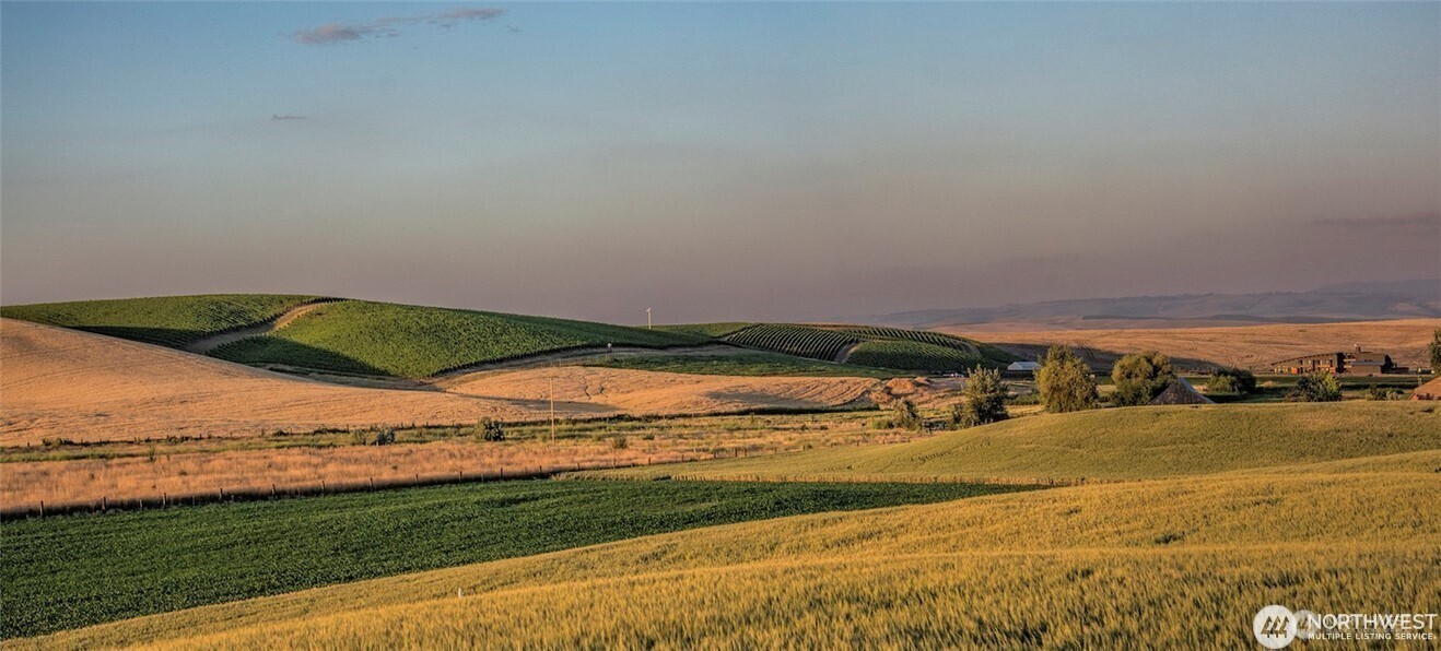 16 Bergevin Springs Place