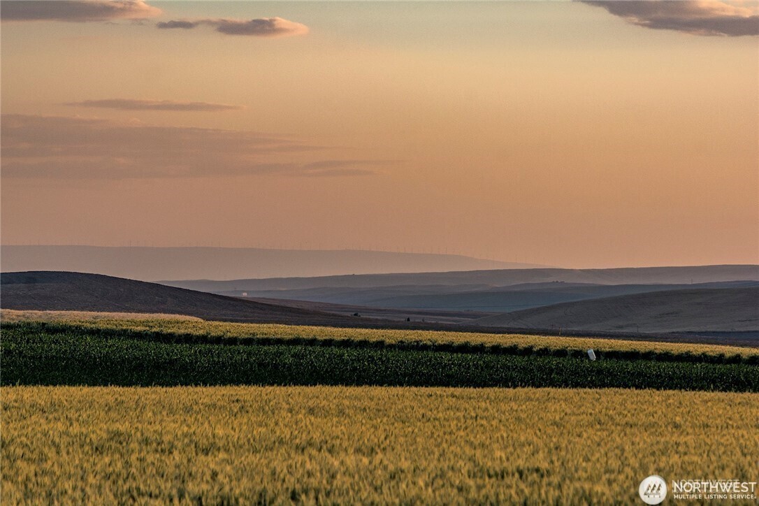 16 Bergevin Springs Place