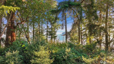 Photo of 0 XXX Waterside Lane, Langley, WA 98260 (MLS # 2439834)