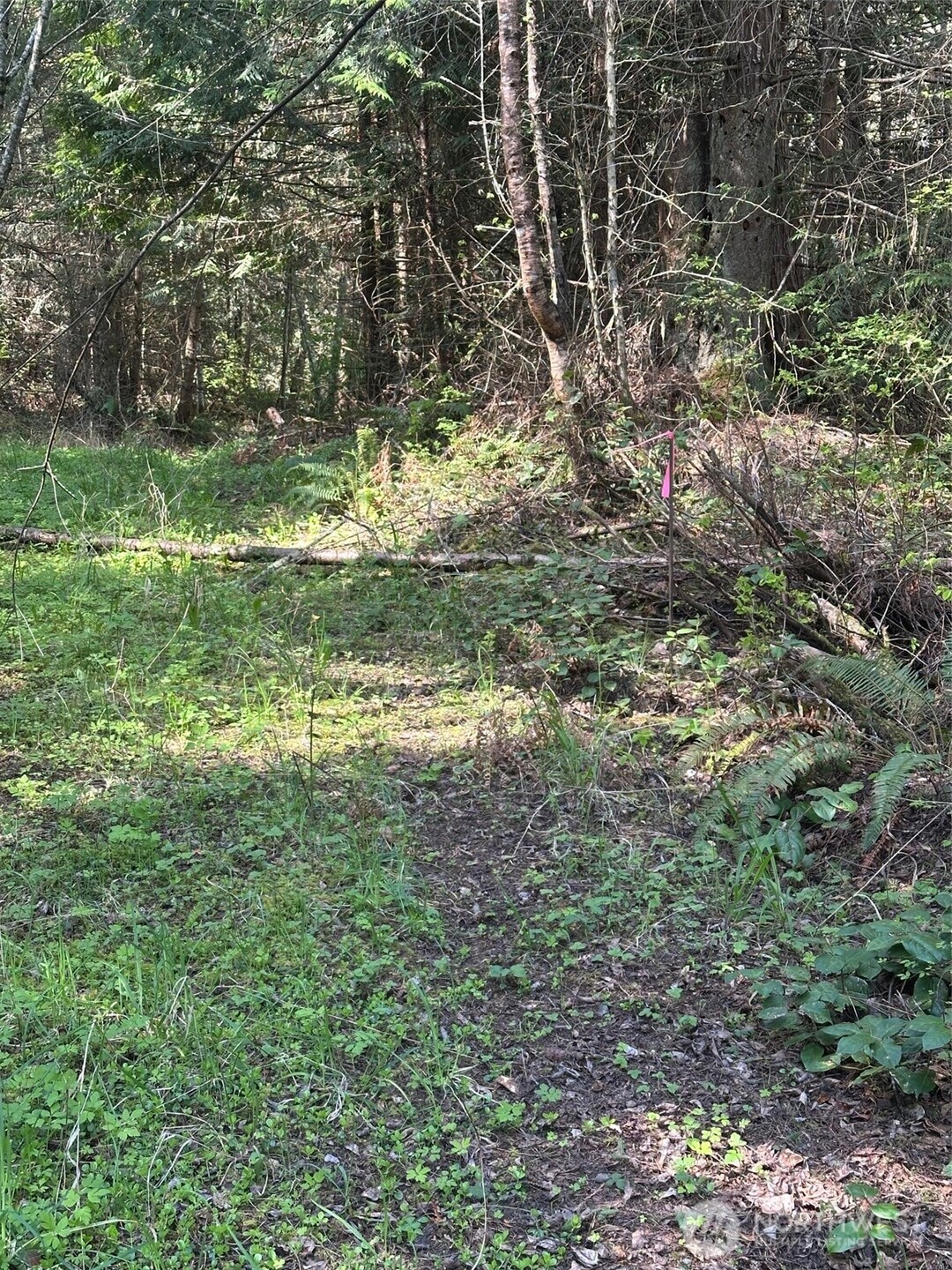 9999 Pristine Lane, Lot 1