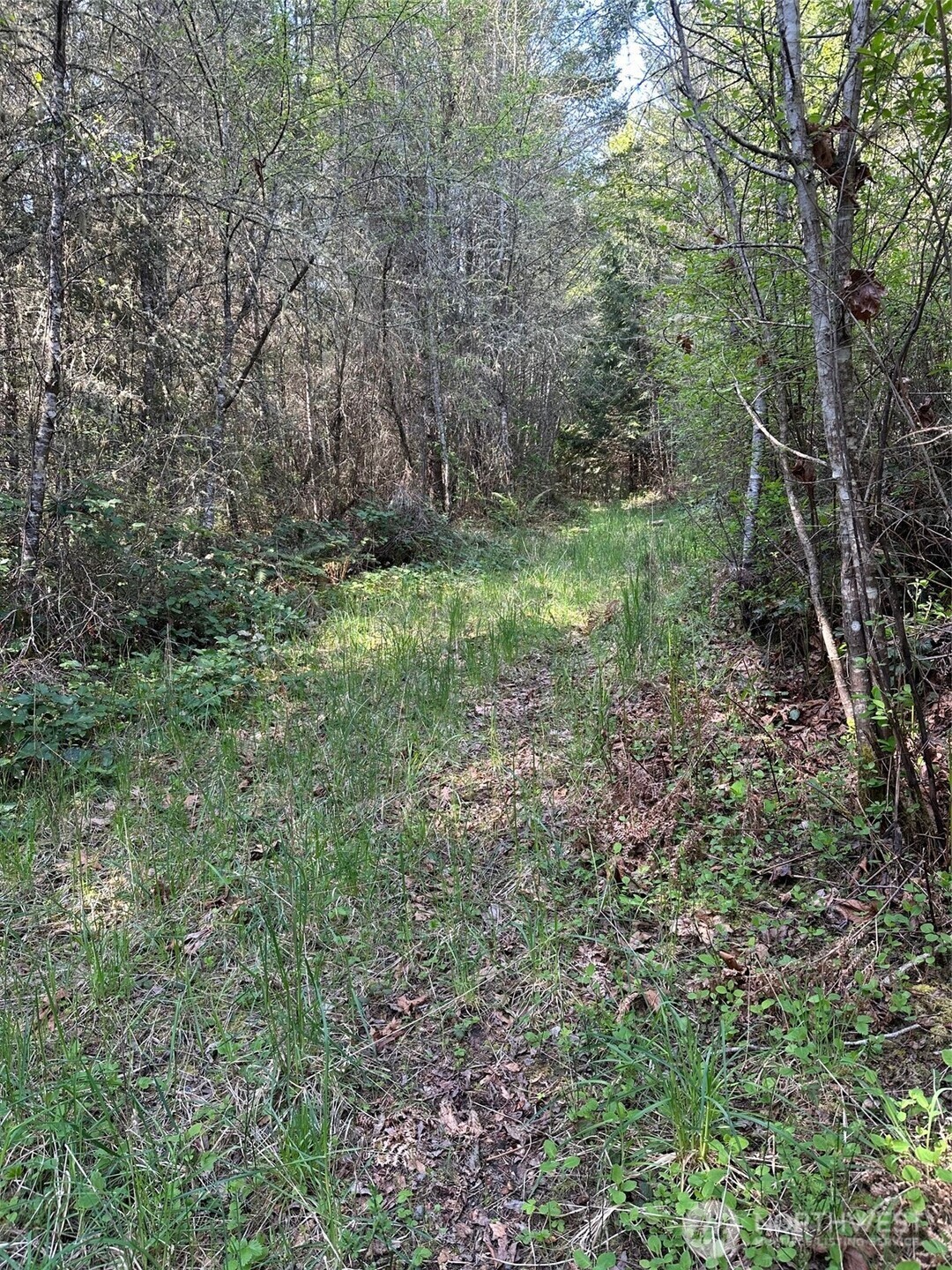 9999 Pristine Lane, Lot 1