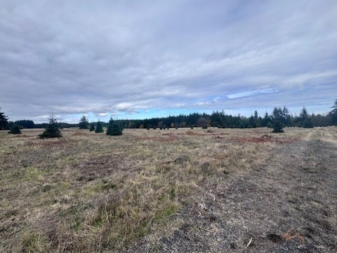 Photo of 0 Tennessee Road #Lot 5, Winlock, WA 98596 (MLS # 2597350)