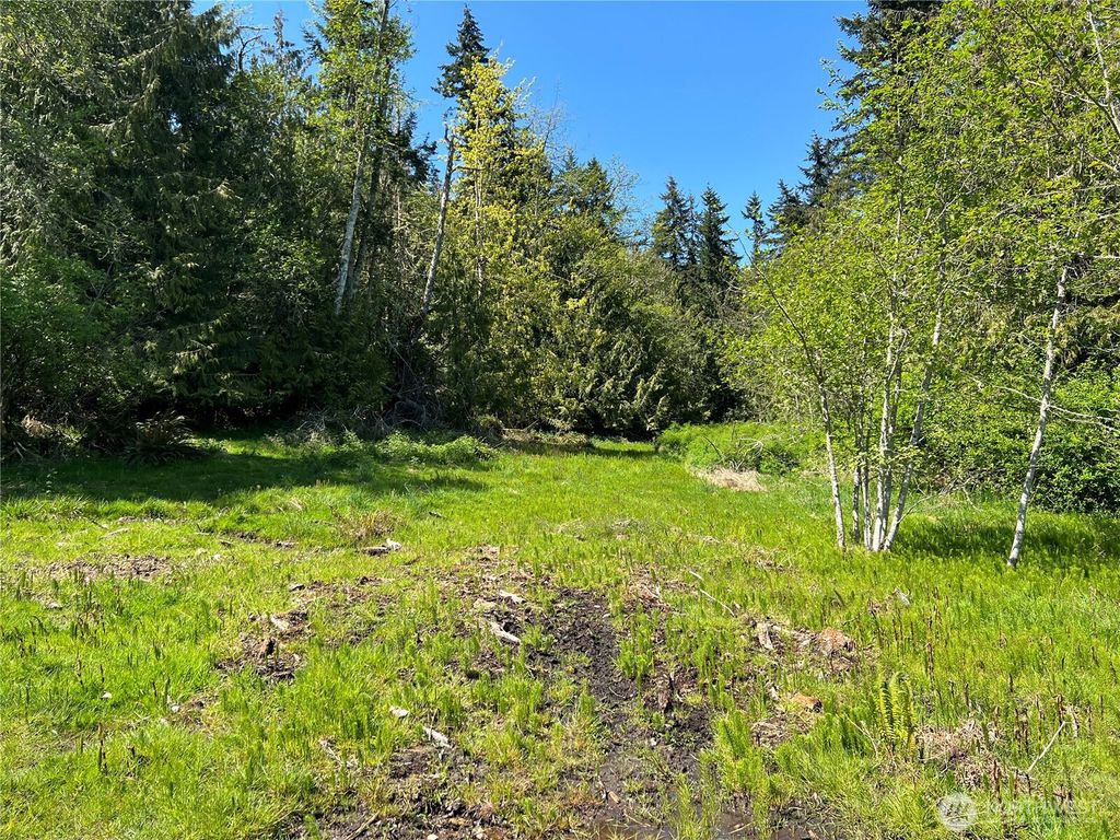 Photo of 9999 E Half Mile Rd., Lot C, Port Angeles, WA 98362 (MLS # 2485271)