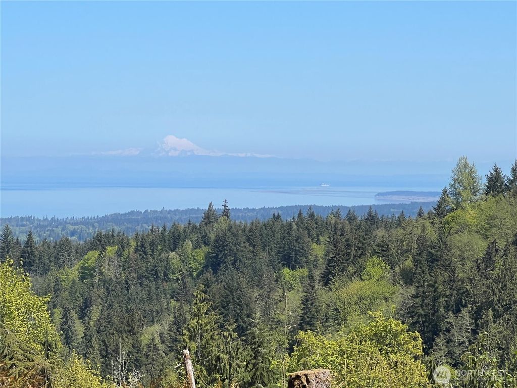 Photo of 9999 E Half Mile Rd., Lot C, Port Angeles, WA 98362 (MLS # 2485271)