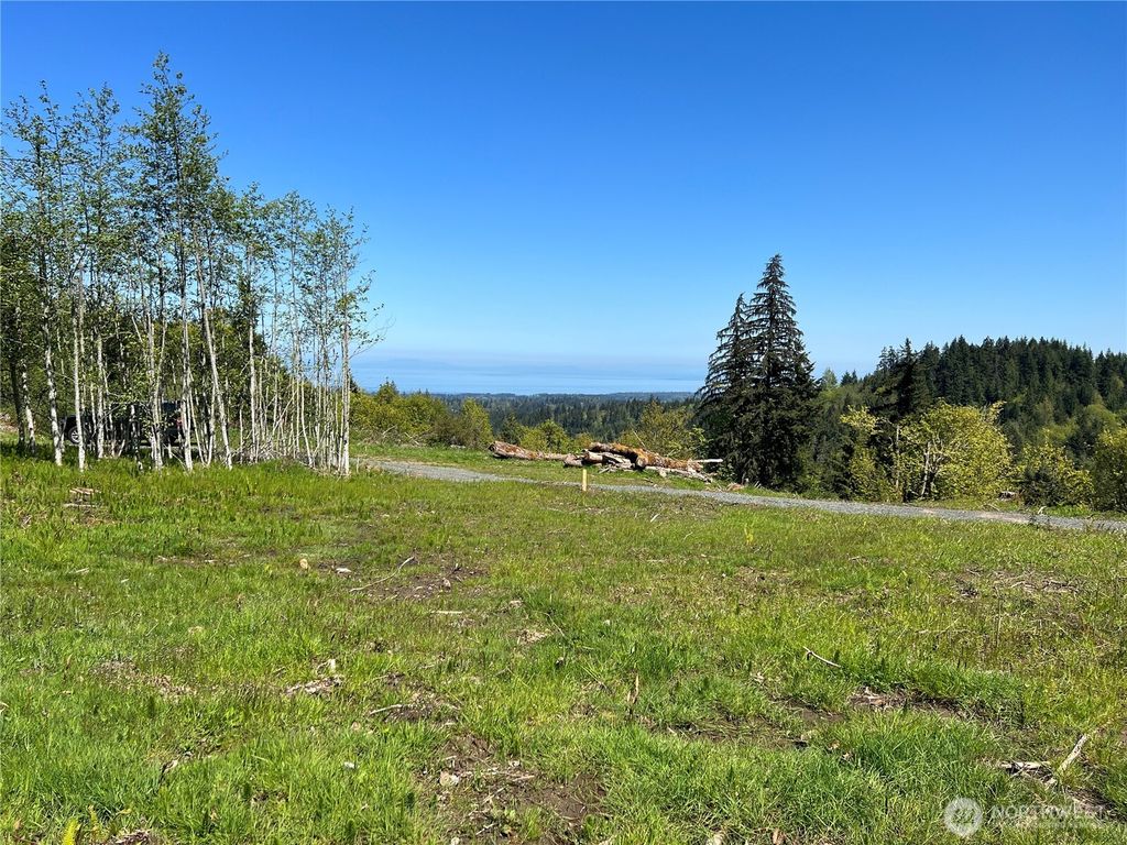 Photo of 9999 E Half Mile Rd., Lot C, Port Angeles, WA 98362 (MLS # 2485271)