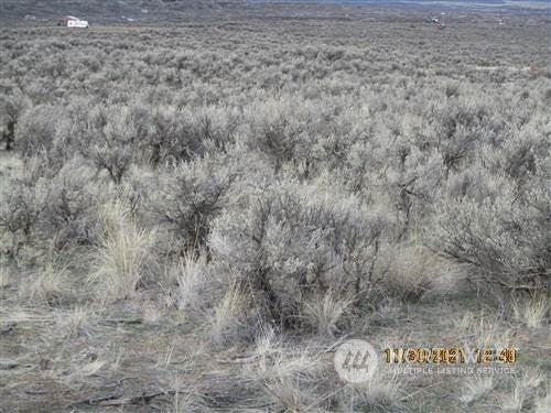0 Lot 12 Quarter Horse Drive