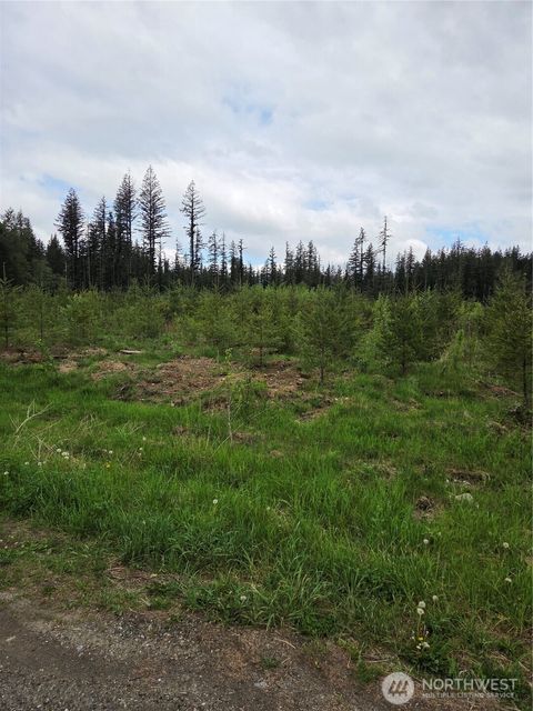 Photo of 0 Windon Lane, Maple Falls, WA 98295 (MLS # 2520821)