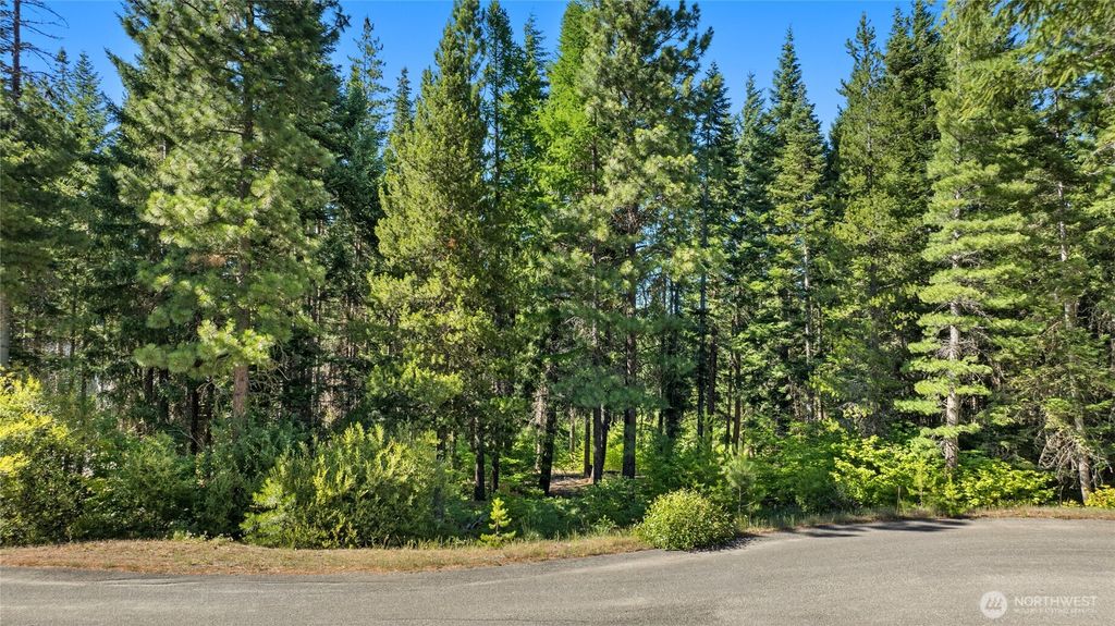 Photo of 131 Goat Creek Lane, Cle Elum, WA 98922 (MLS # 2489571)