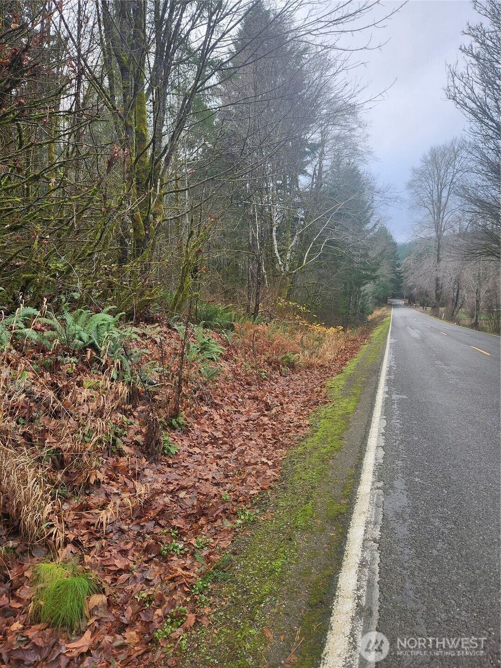 Photo of 8 Acres Cloquallum Road, Shelton, WA 98584 (MLS # 2459920)