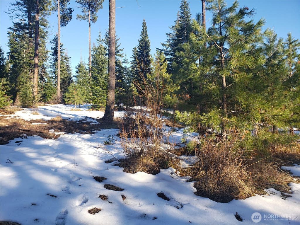 Photo of 0 Lot F R&amp;R Heights Drive, Roslyn, WA 98941 (MLS # 2572341)