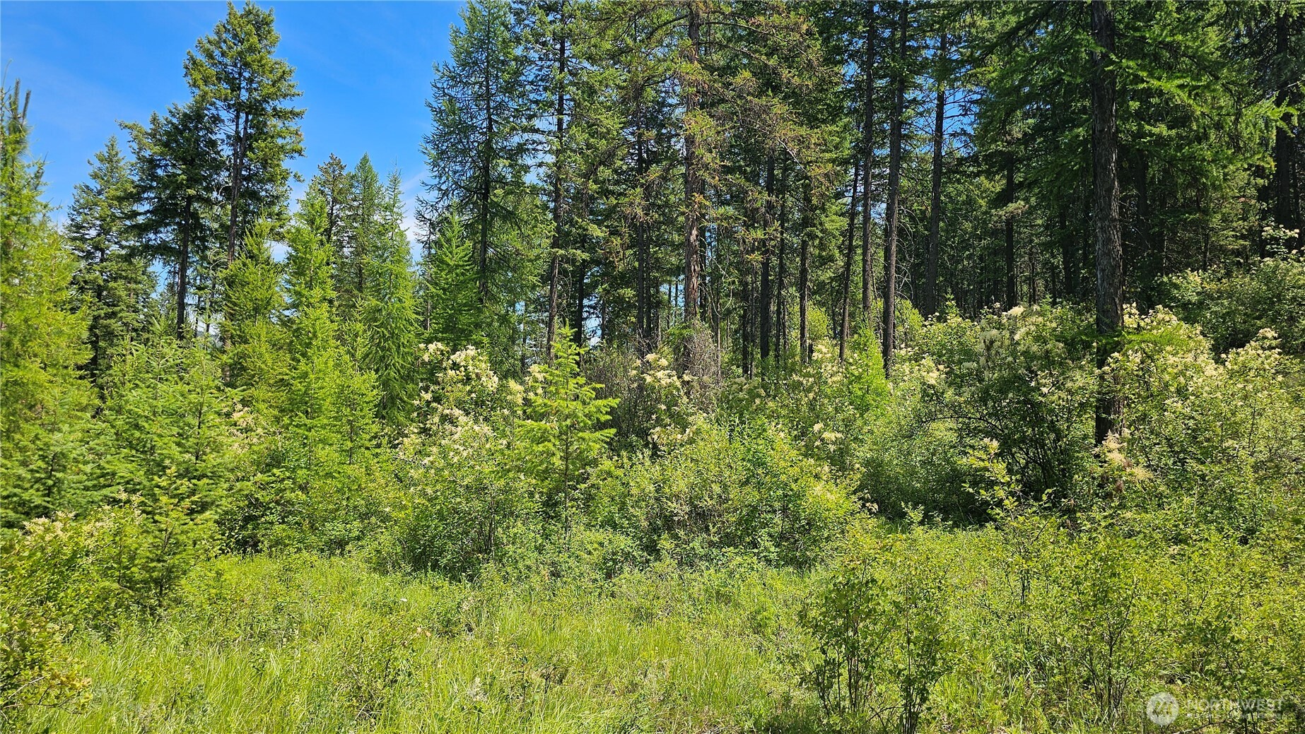 432 Bussard Lake Road