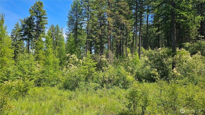 432 Bussard Lake Road